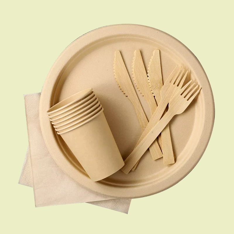 Bagasse Tableware