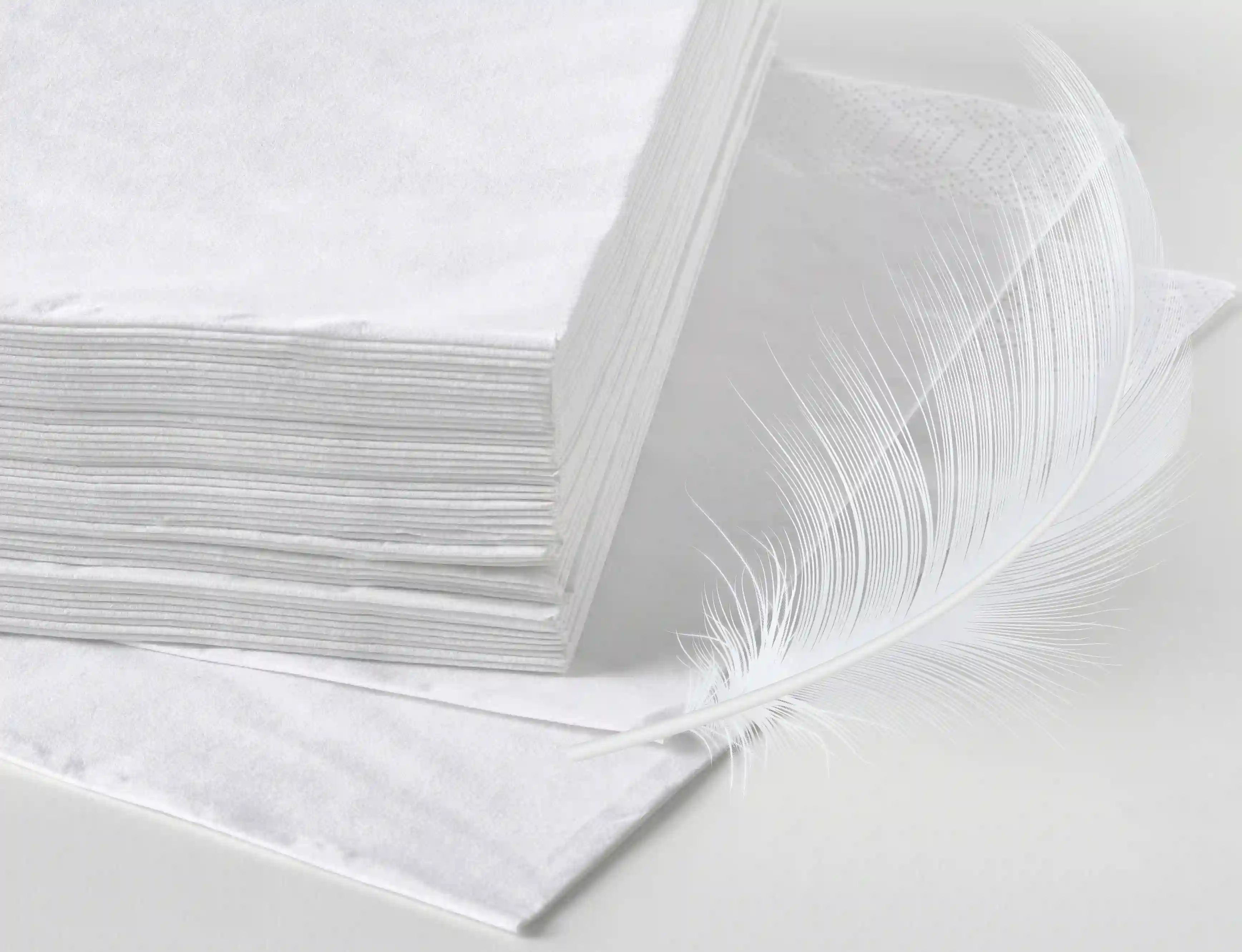 Custom printed tissue Paper - (pack of 500 packs) - image 4
