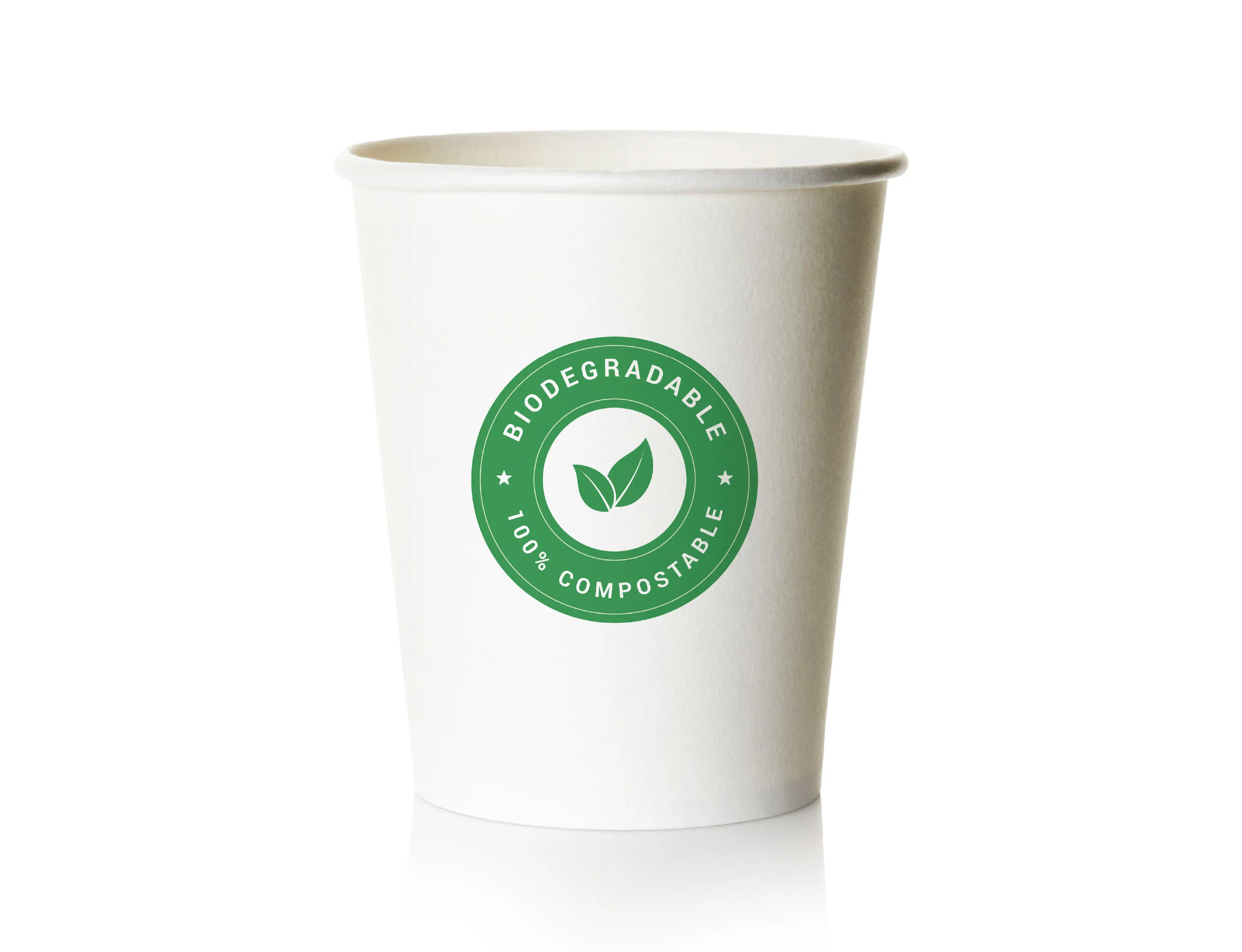 300ml bio paper cup - (pack of 6000 pcs) - image 2