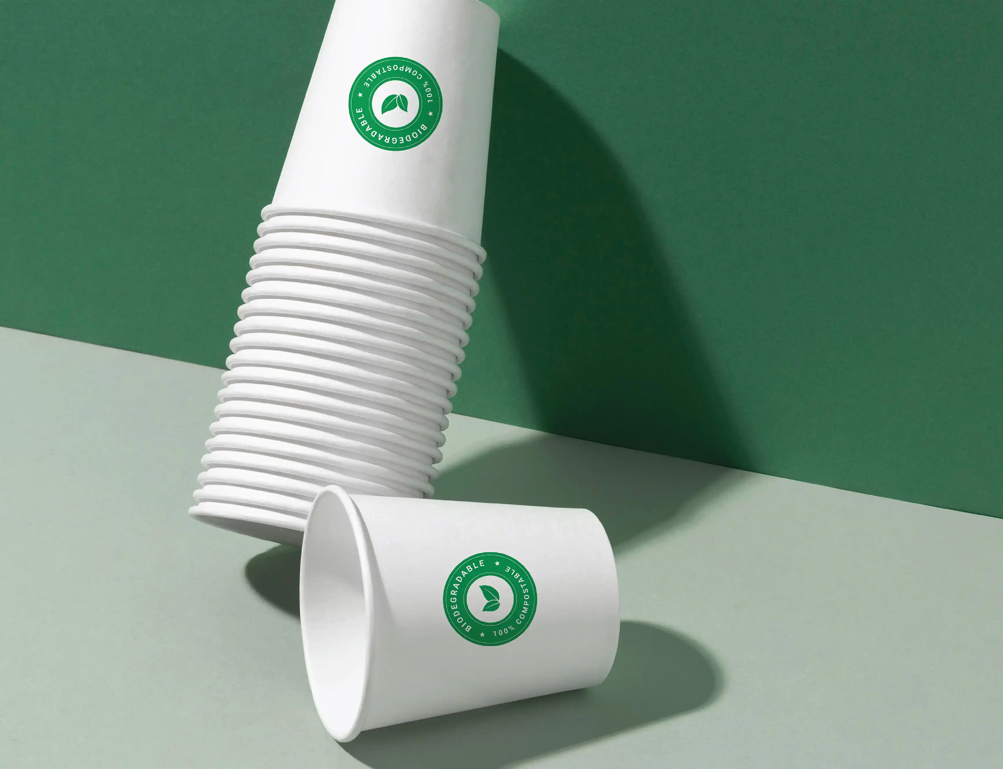 300ml bio paper cup - (pack of 6000 pcs) - image 5