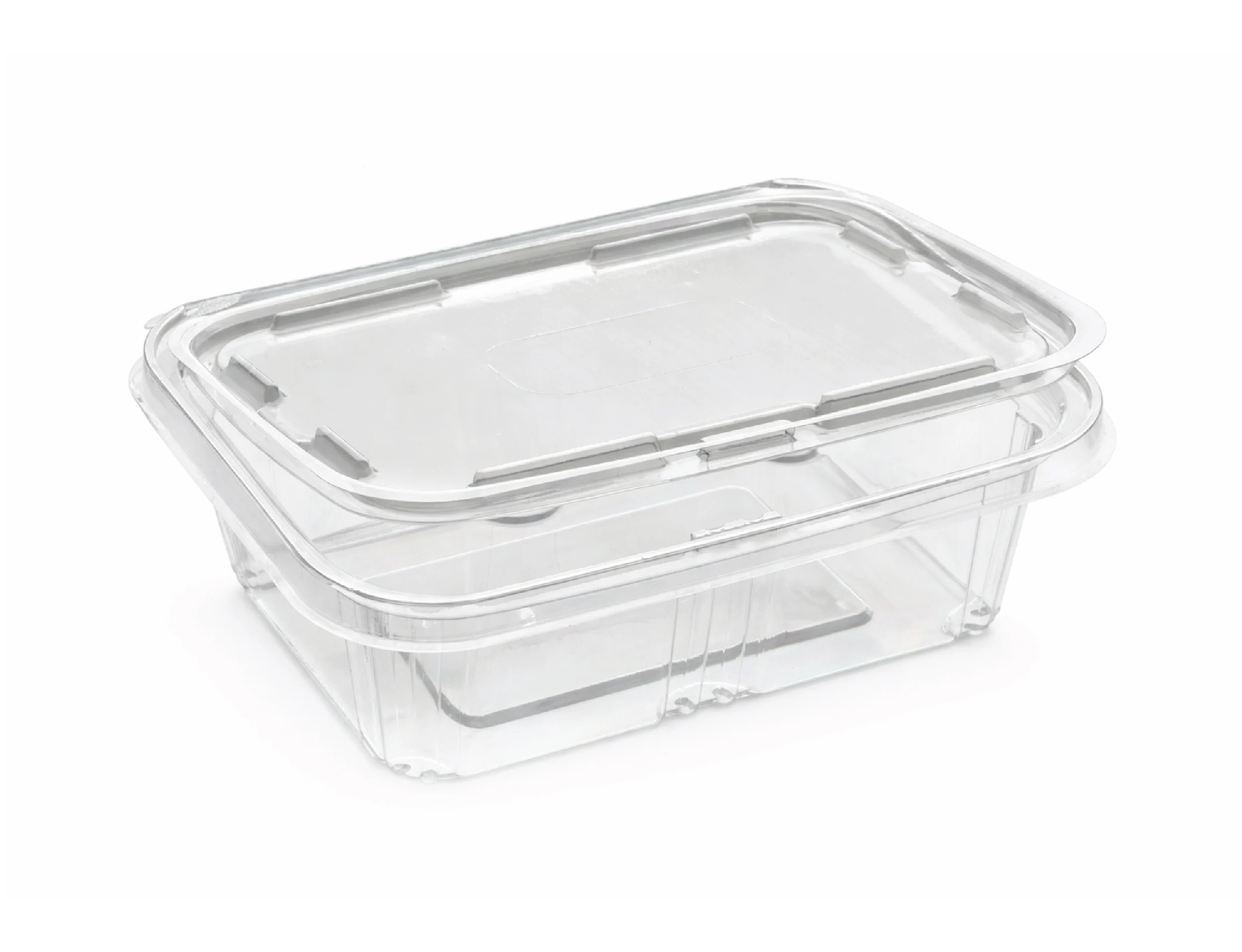 250ml PET Hinged Square Container