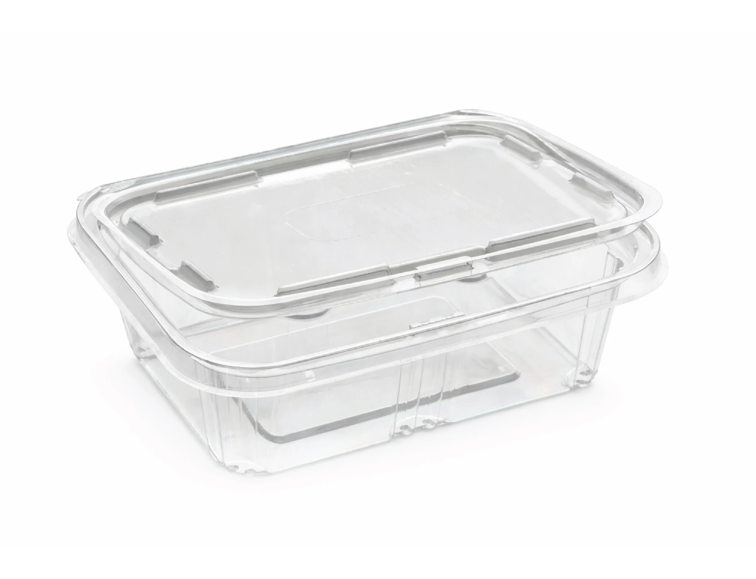 500ml PET Hinged Square Container