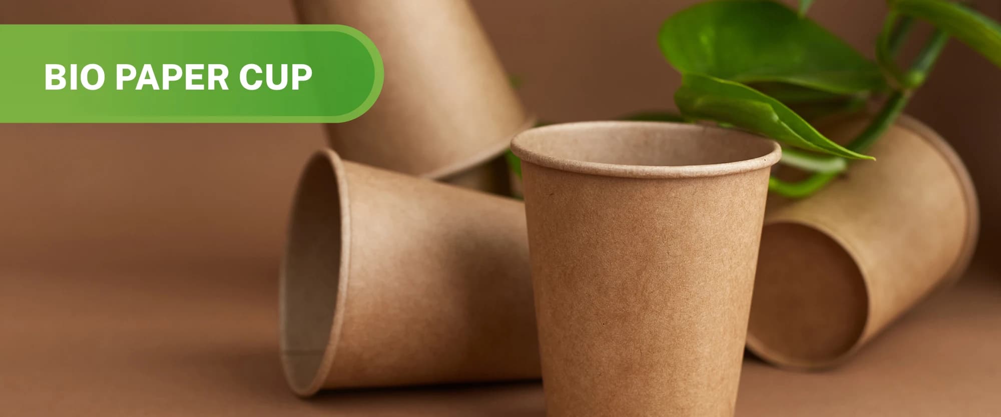 Single wall disposable paper cup Desktop Banner