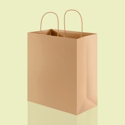 Paper Bag
