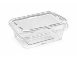 250ml PET Hinged Square Container