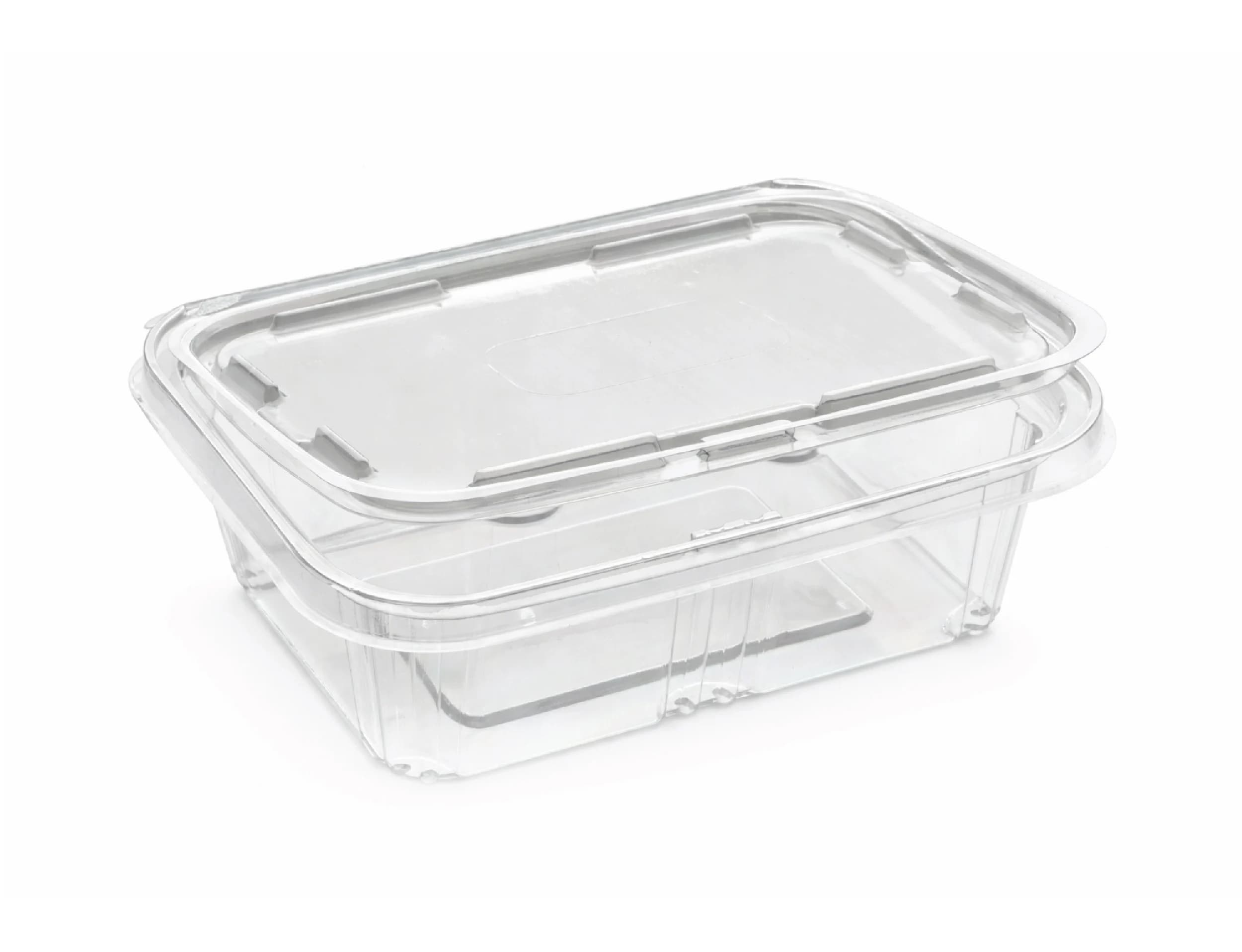250ml PET Hinged Square Container