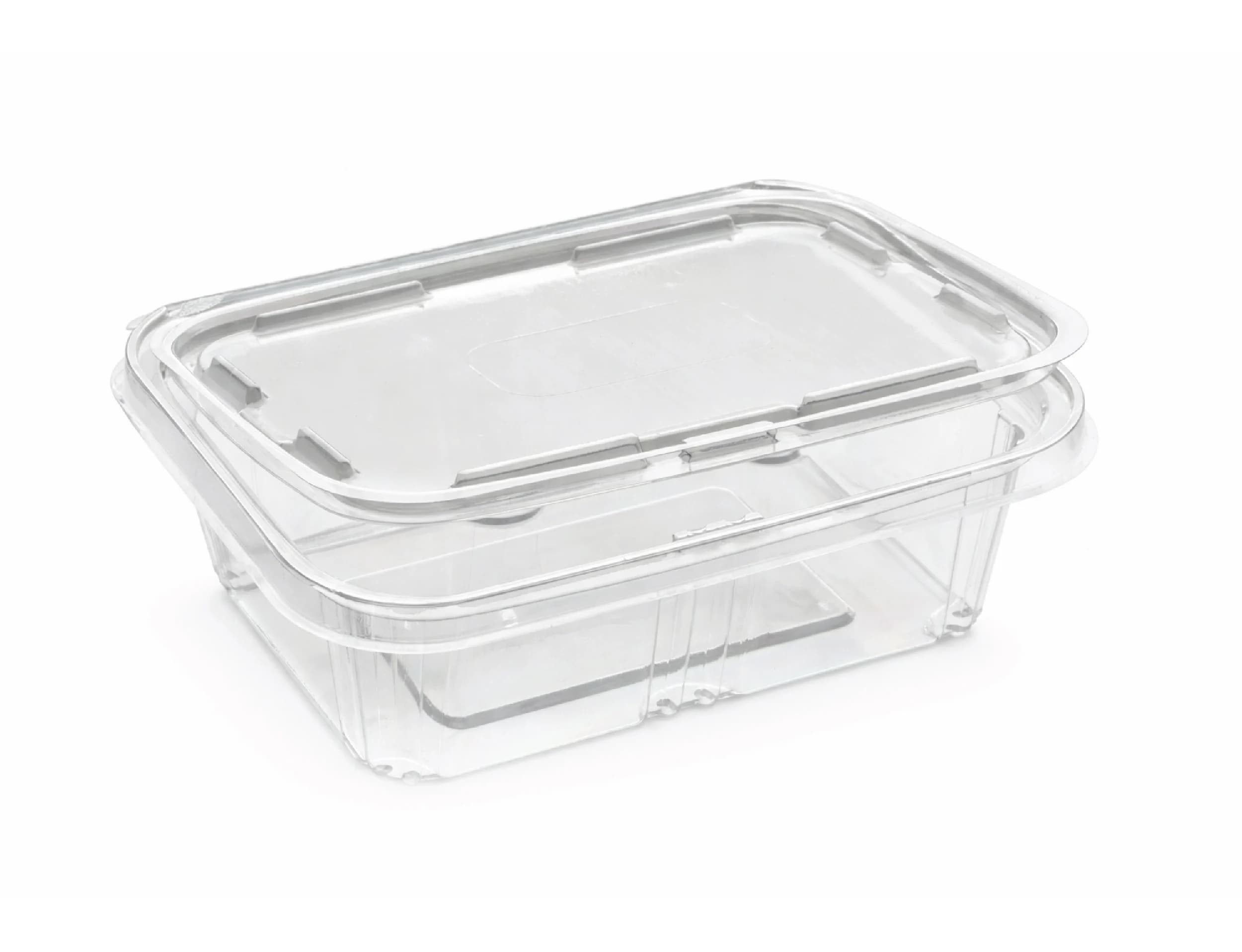 500ml PET Hinged Square Container