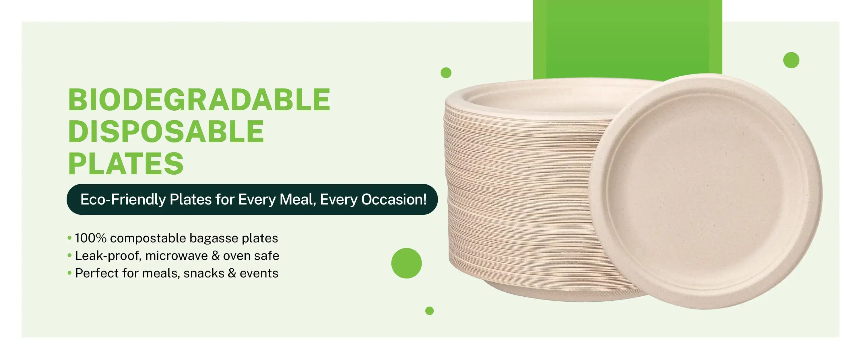 Biodegradable Disposable Plates Desktop Banner