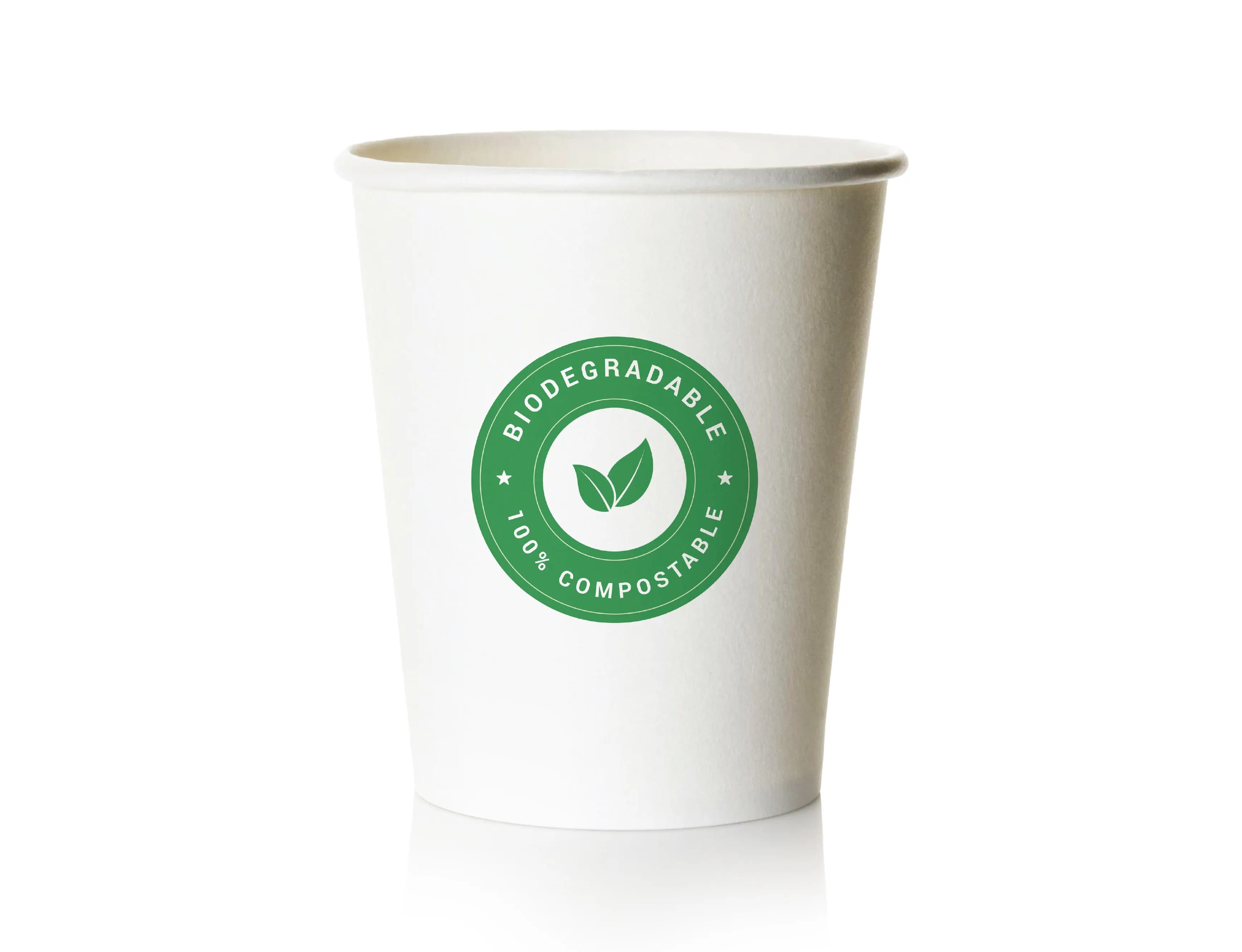 300ml bio paper cup - (pack of 6000 pcs)